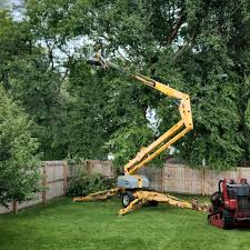 Best Firewood Processing and Delivery  in Lemon Hill, CA