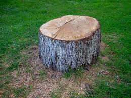 Best Leaf Removal  in Lemon Hill, CA