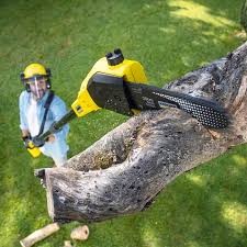 Best Commercial Tree Services  in Lemon Hill, CA