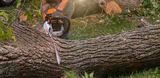 Best Artificial Turf Installation  in Lemon Hill, CA