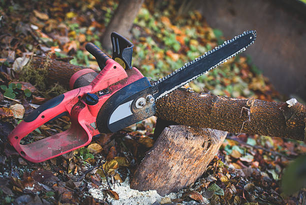 Best Lot and Land Clearing  in Lemon Hill, CA